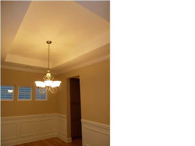 311 Bracken Fern Road Moncks Corner, SC 29461 - Photo 4 of 4 Additional Photo