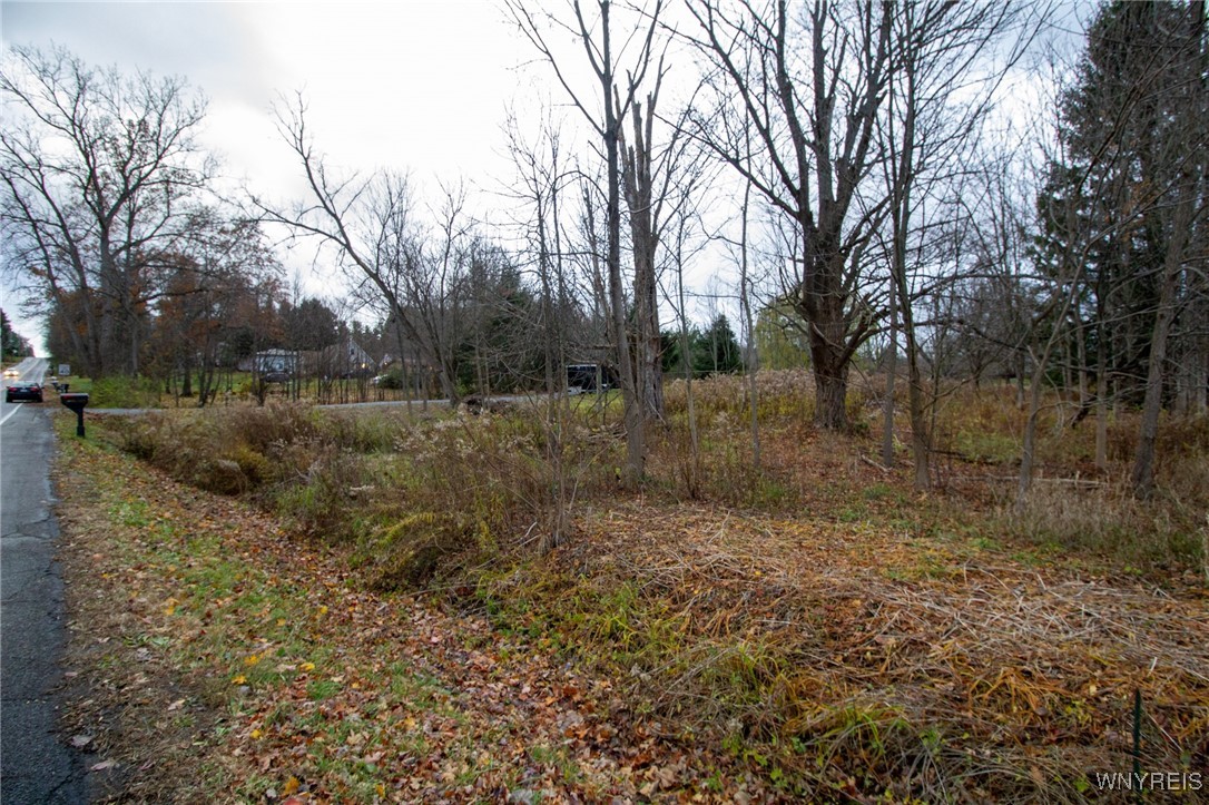 Cole Rd Orchard Park Orchard Park, NY 14127 - Photo 2 of 5