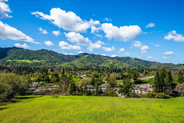 a view of yard with green space