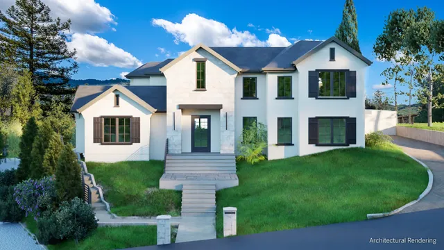 a view of a big yard with potted plants and large tree