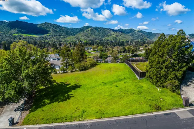 a view of a large yard with a large tree