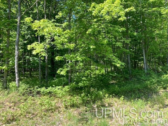 Tbd Worham Road Chassell, MI 49916 - Photo 7 of 45 Gallery Image 7