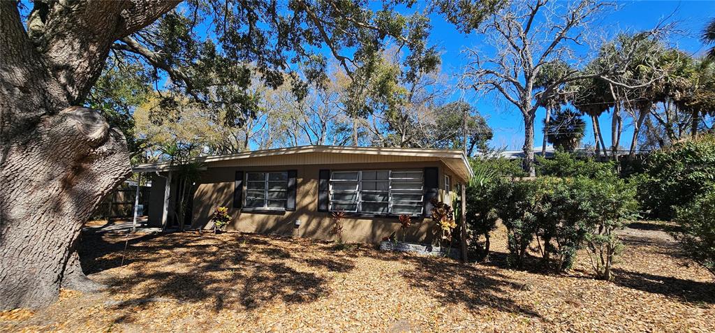 a view of a wooden house with a large tree