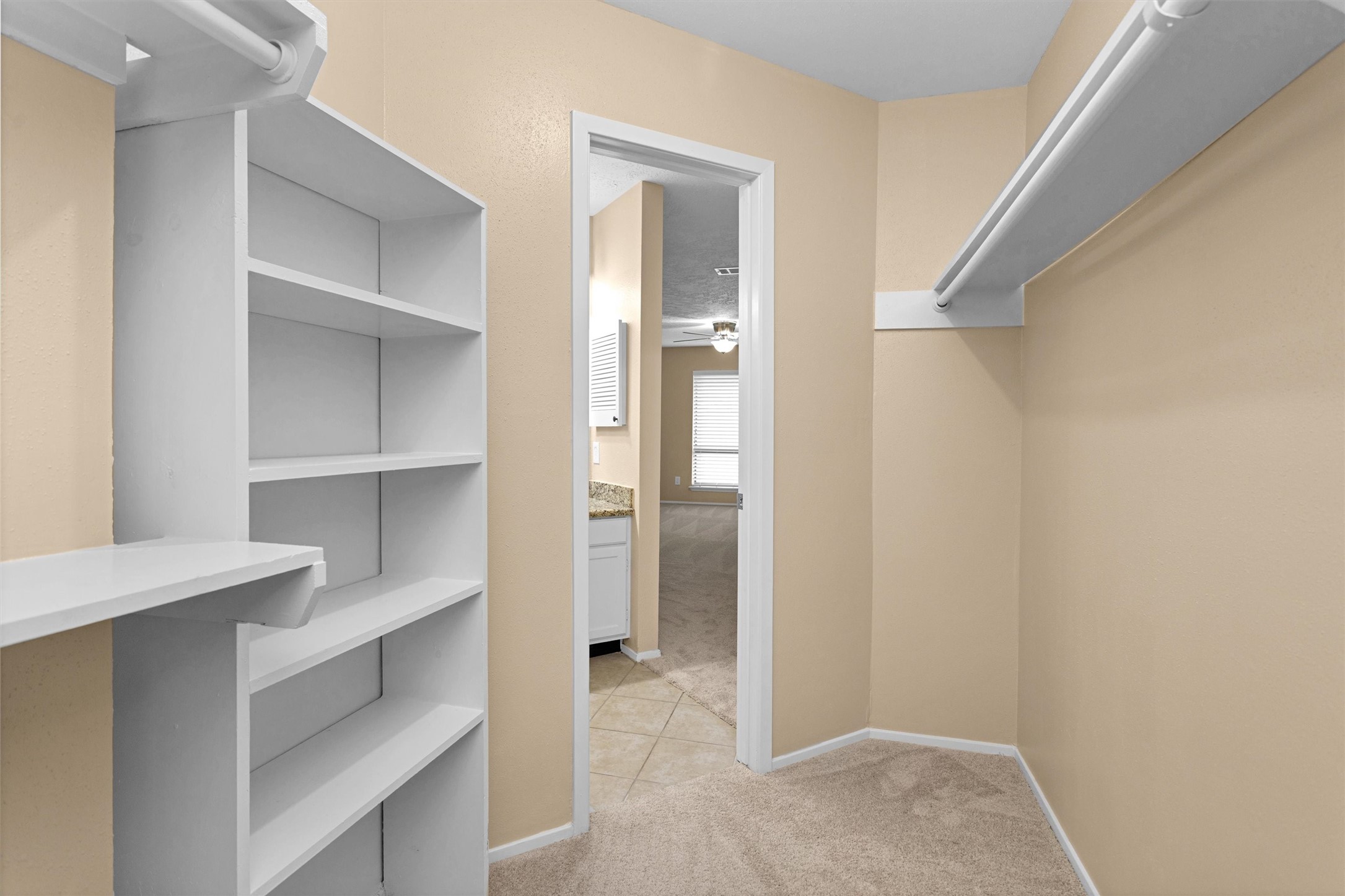 4807 Bridgemont Lane Spring, TX 77388 - Photo 22 of 42 Plenty of shelving