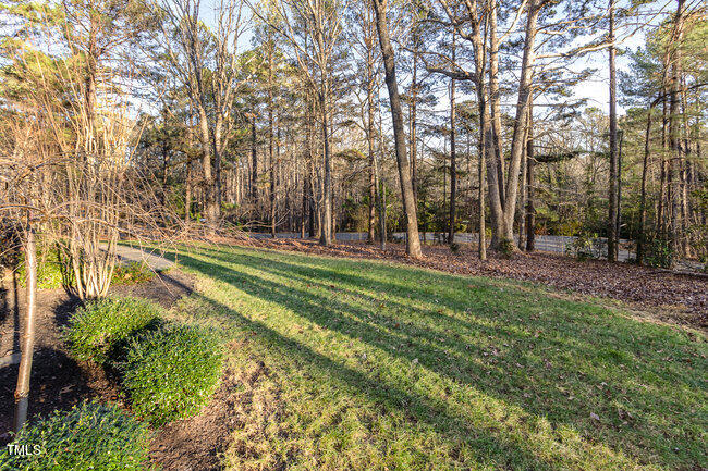 2903 Tavistock Drive Durham, NC 27712 - Photo 27 of 28 a view of a park with large trees