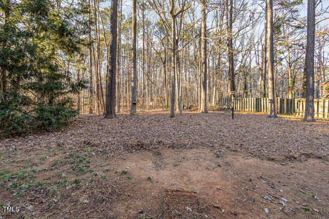 2903 Tavistock Drive Durham, NC 27712 - Photo 28 of 28 a view of a yard with large trees