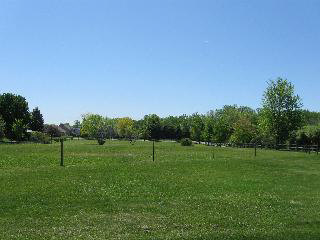 2788 West Dean Road Temperance, MI 48182 - Photo 10 of 19 FRONT PADDOCK