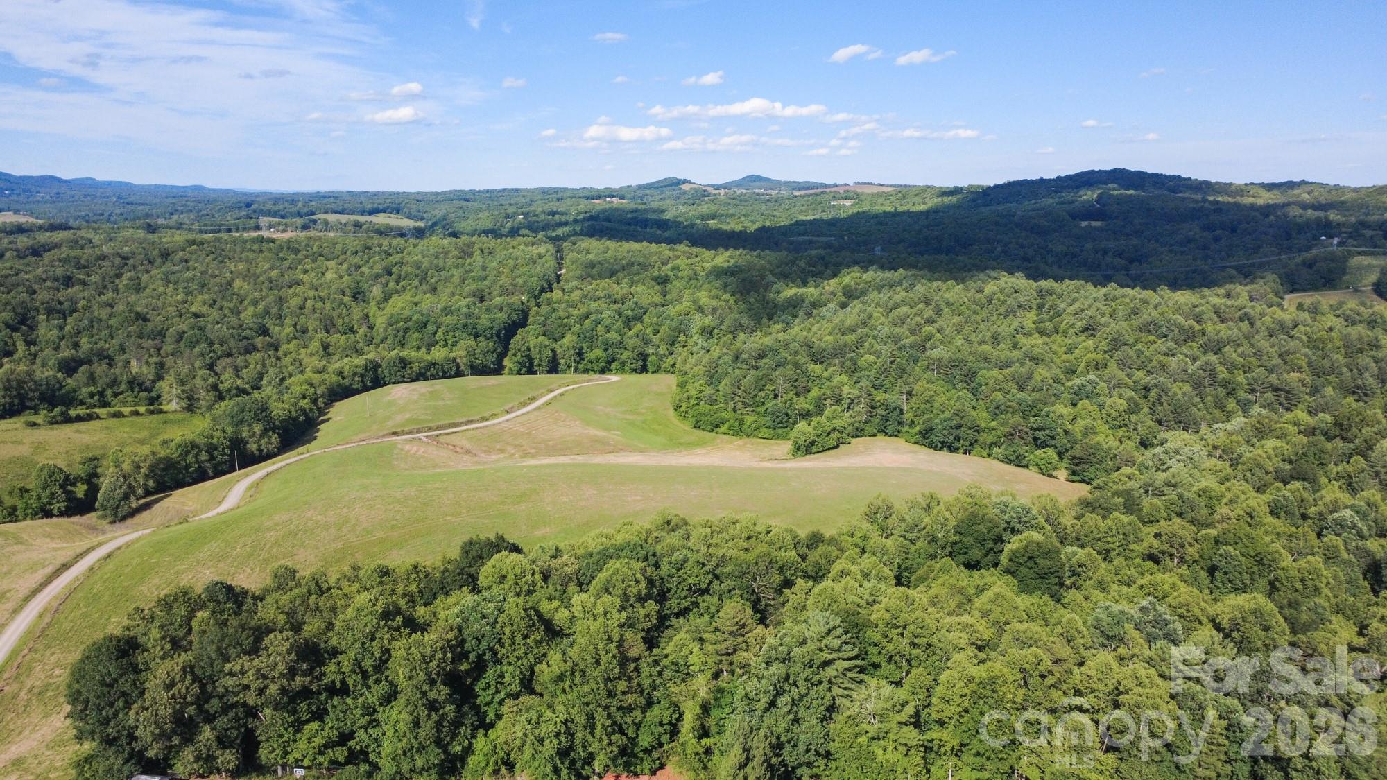 1779 Roundhill Church Road Traphill, NC 28685 - Photo 9 of 42