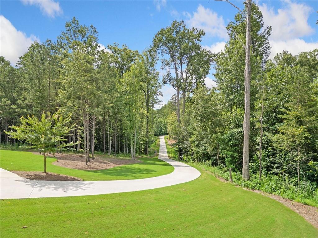 70 Bristol Road Ball Ground, GA 30107 - Photo 3 of 82