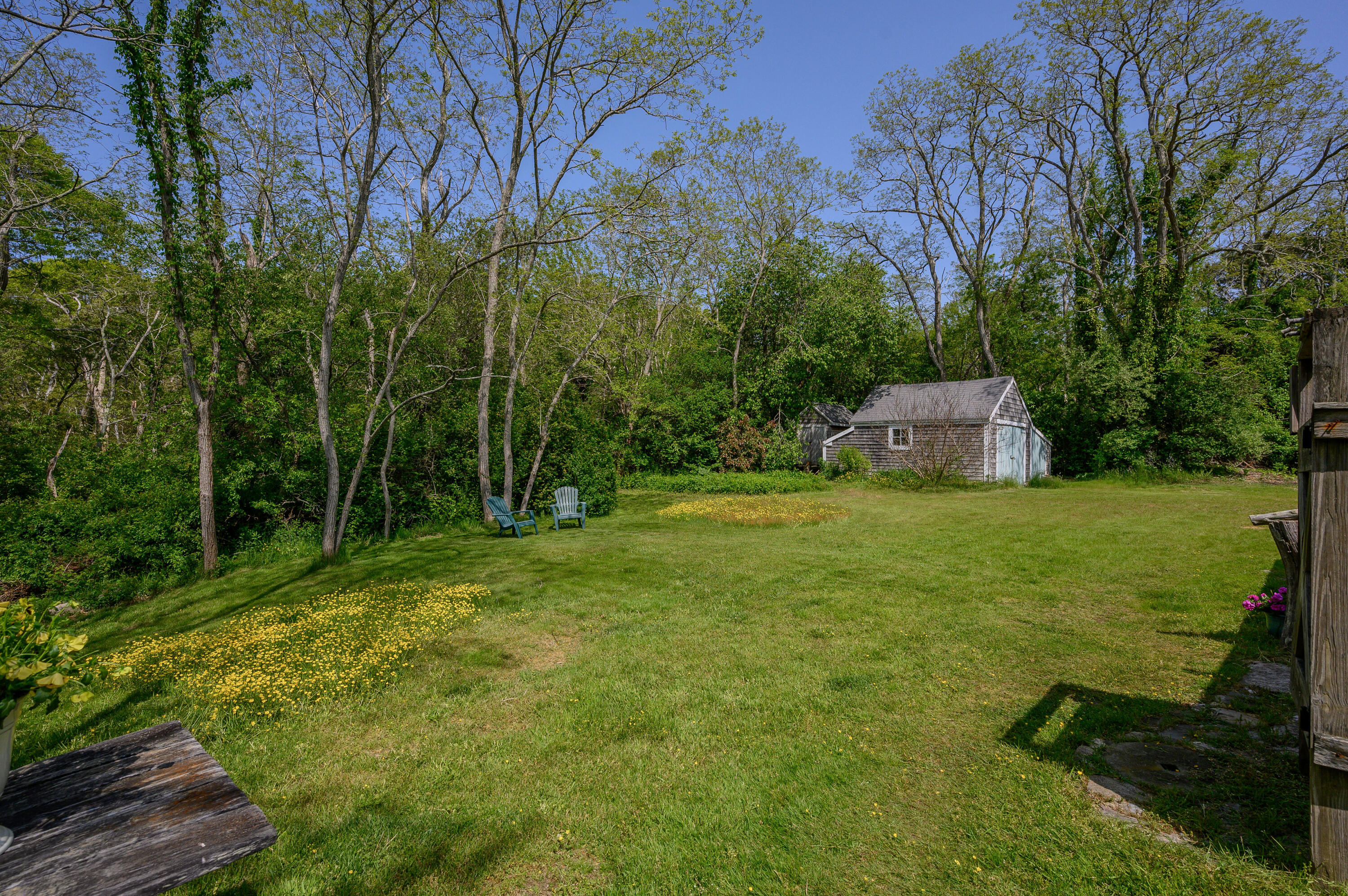 75 Massasoit Road Eastham, MA 02642 - Photo 37 of 49 a view of a tree in a yard