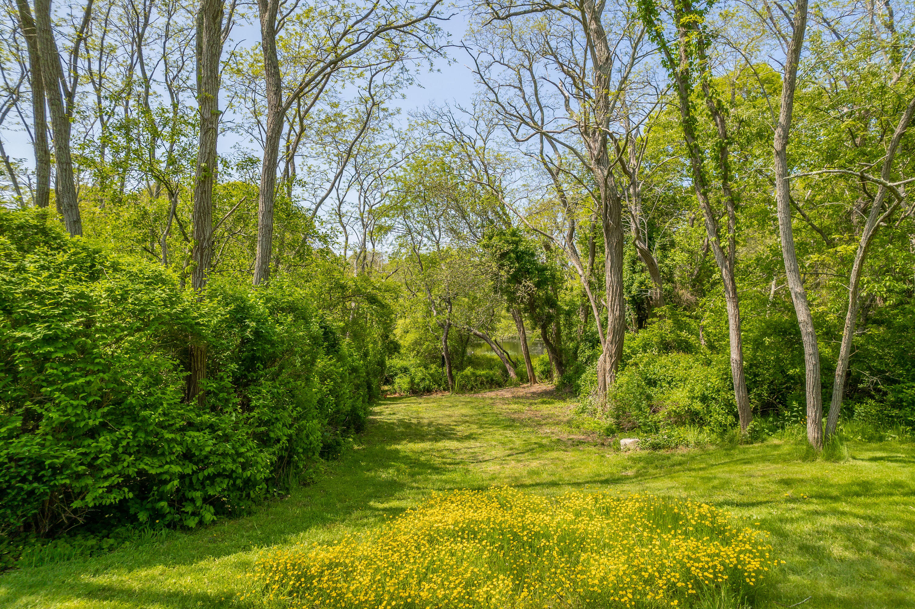 75 Massasoit Road Eastham, MA 02642 - Photo 42 of 49 a view of outdoor space with trees all around