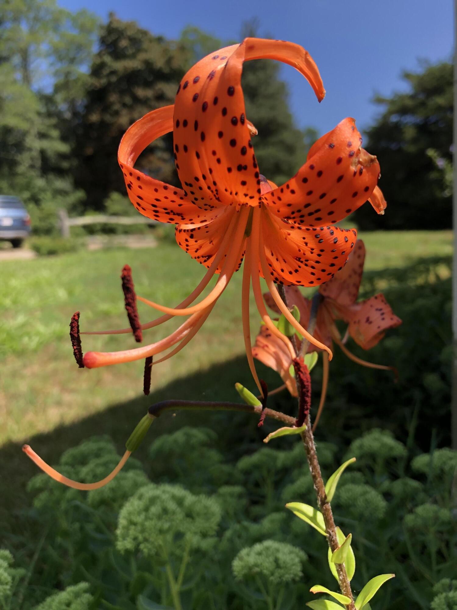 75 Massasoit Road Eastham, MA 02642 - Photo 44 of 49 an aerial view of a house