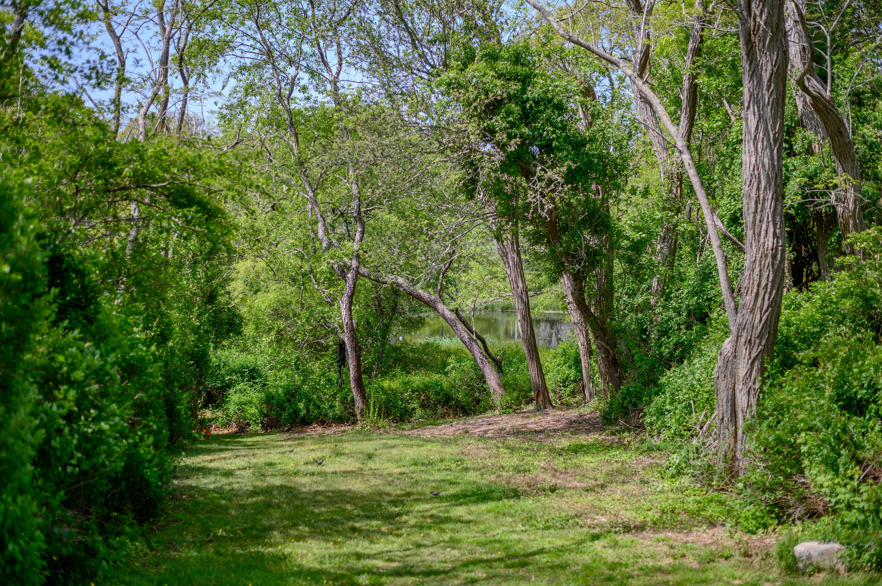 75 Massasoit Road Eastham, MA 02642 - Photo 5 of 49 a view of a lush green forest