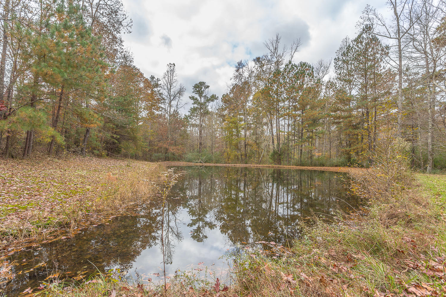 337 Monroe Green Road Trion, GA 30753 - Photo 11 of 80 337 Monroe Green HD-11