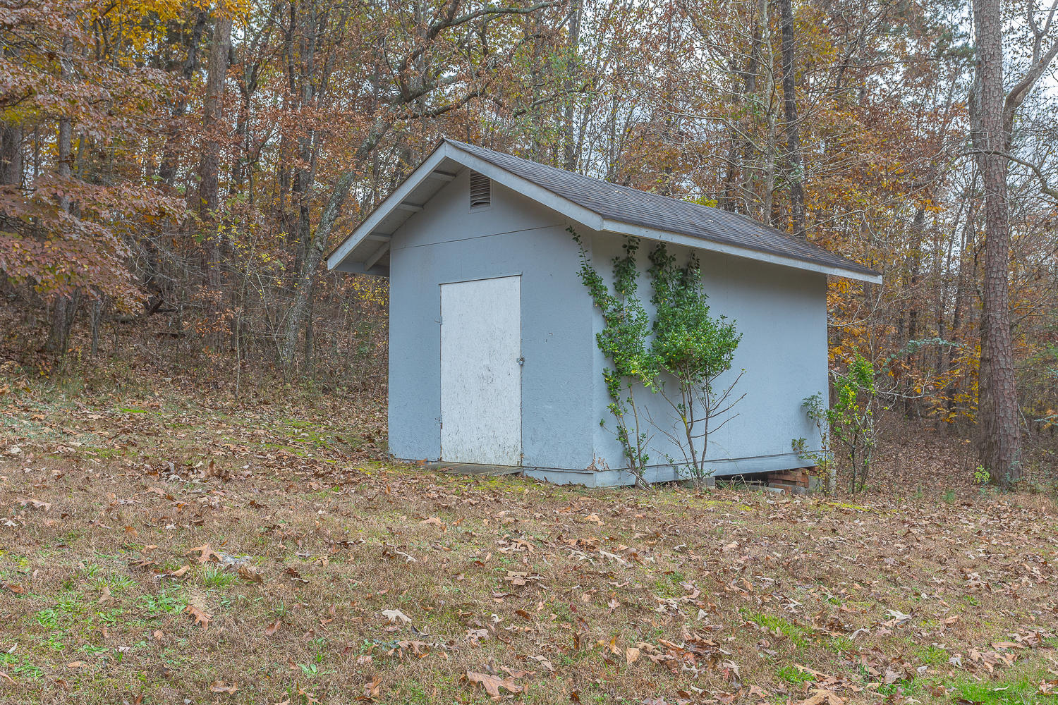 337 Monroe Green Road Trion, GA 30753 - Photo 19 of 80 337 Monroe Green HD-19