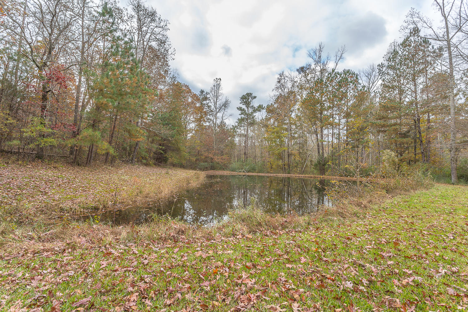 337 Monroe Green Road Trion, GA 30753 - Photo 10 of 80 337 Monroe Green HD-10