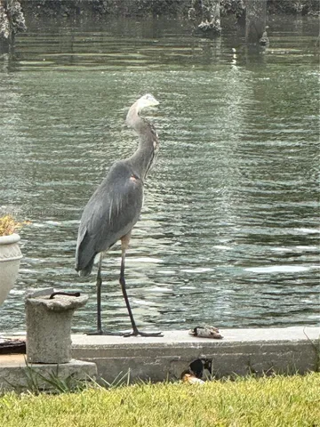 $795,000 | 345 Bahia Vista Drive, Indian Rocks Beach, FL 33785