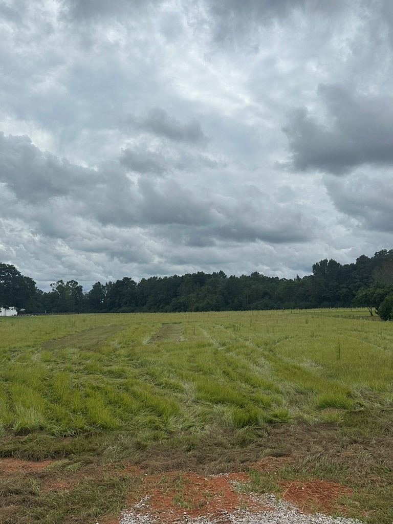 Lot 1 Hadden Road Dothan, AL 36301 - Photo 4 of 8