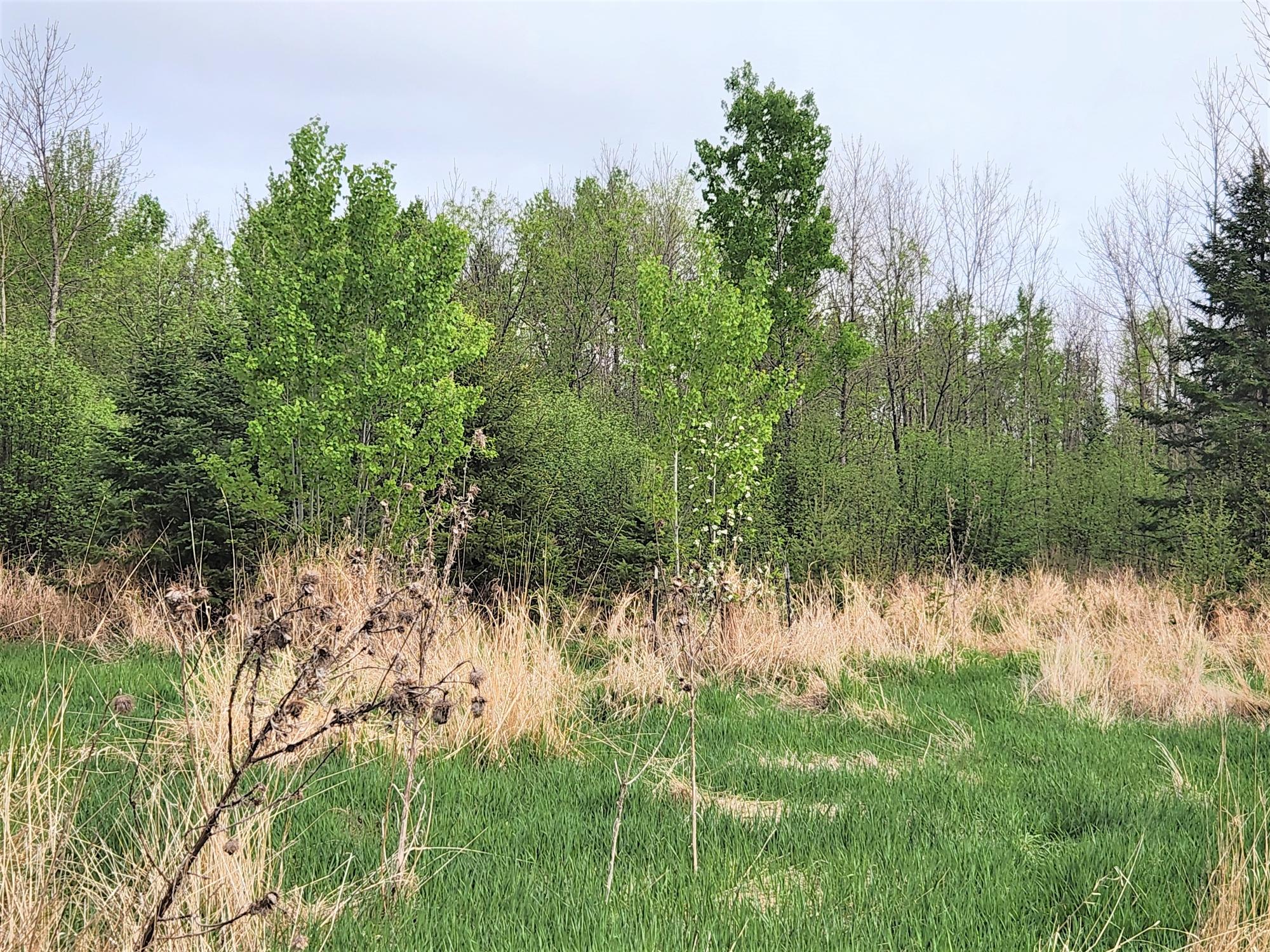 N8218 East Wilson Flowage Road Phillips, WI 54555 - Photo 12 of 18 Gallery Image 12