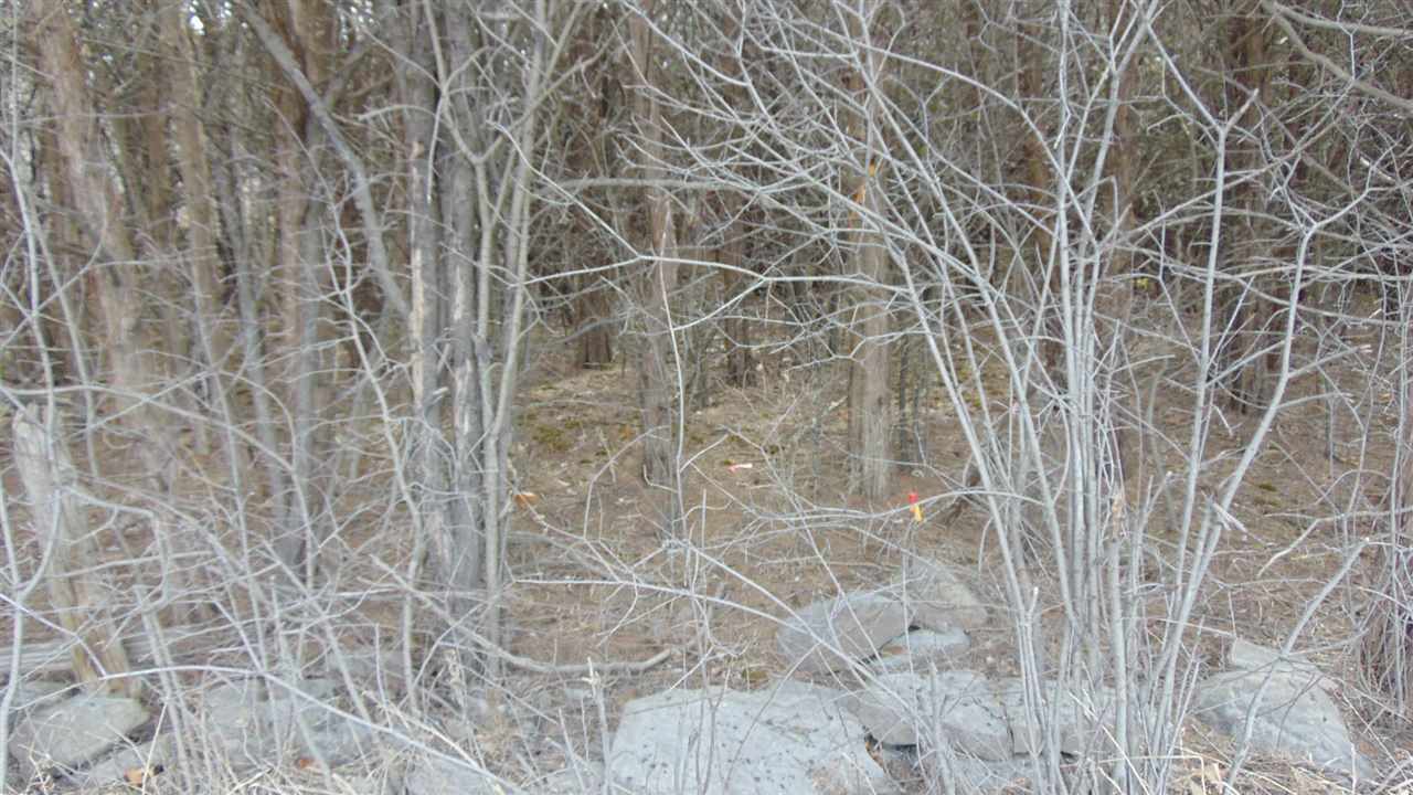 576 West Shore Road, Unit 3 South Hero, VT 05486 - Photo 10 of 17 Gallery Image 10