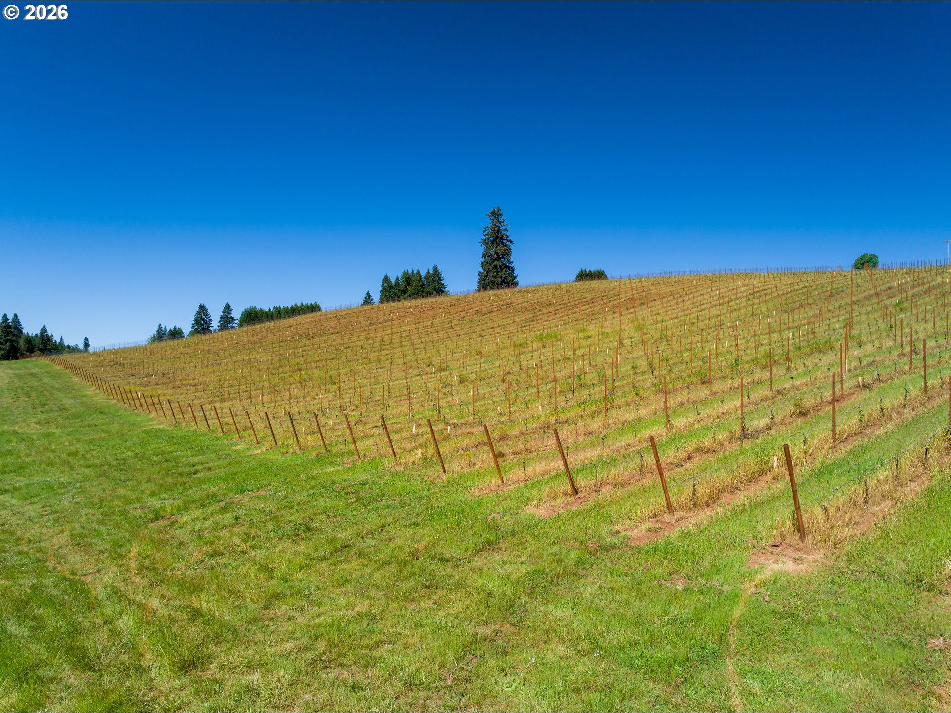 1488 Red Hill Road Oakland, OR 97462 - Photo 44 of 48