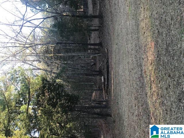 0 Mcintosh Road, Unit 29 97 Oxford, AL 36203 - Photo 2 of 2