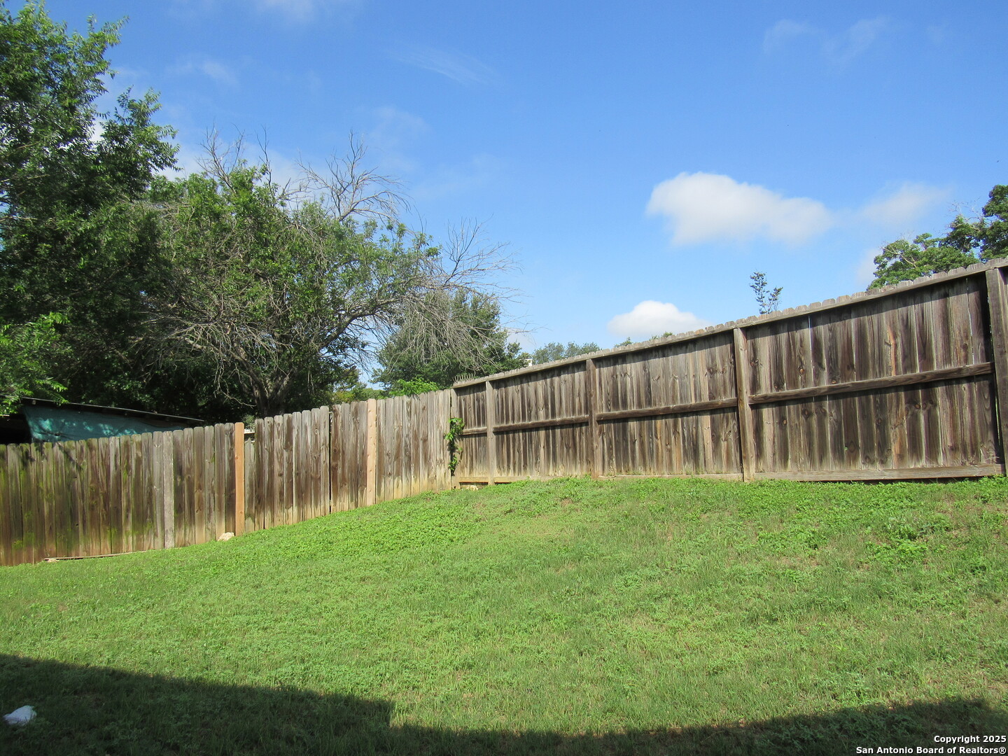 7731 Clear Ridge Drive San Antonio, TX 78239 - Photo 48 of 54 a view of a backyard with a garden