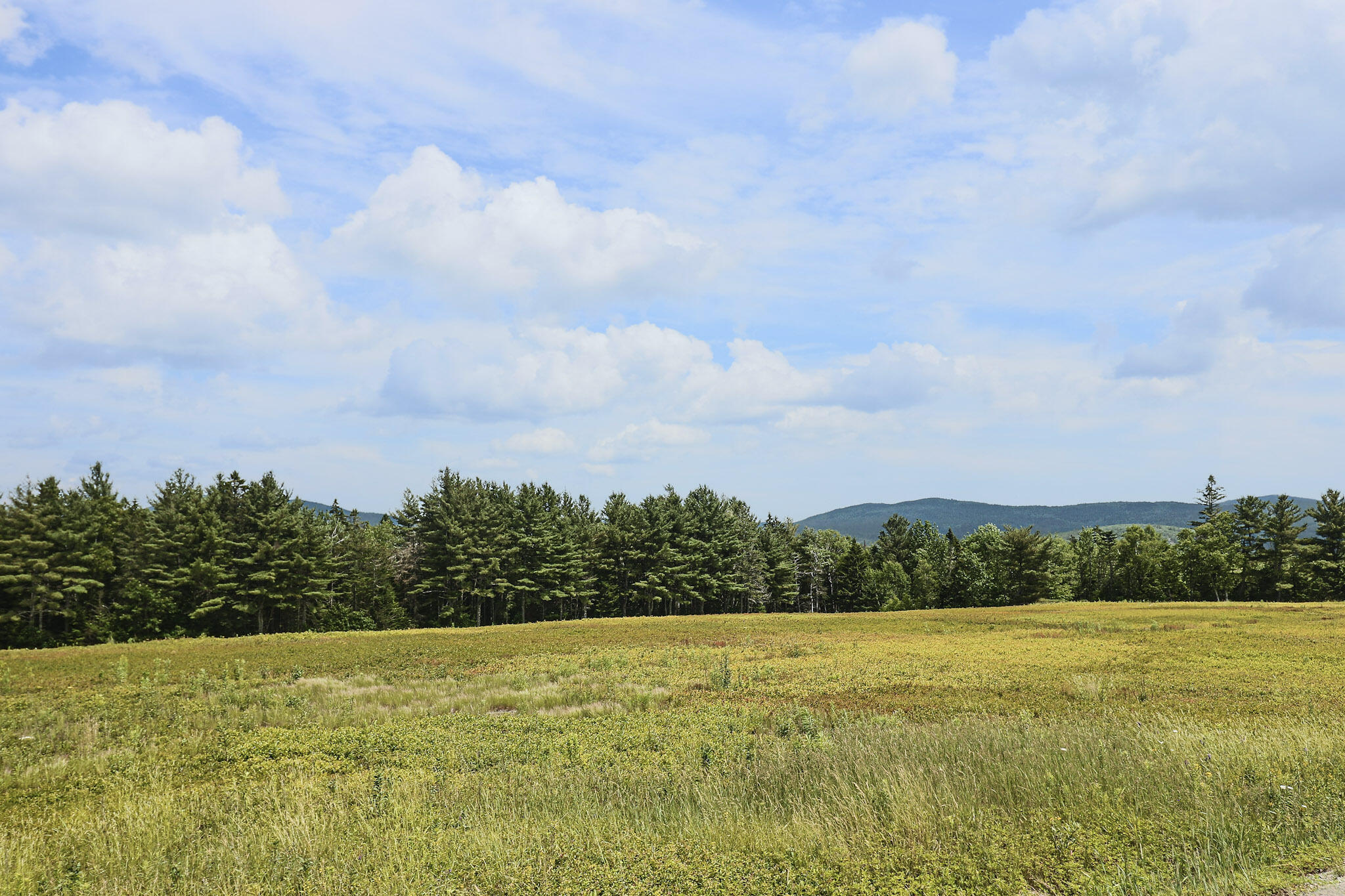 Map13-lot1 Martins Ridge Road Franklin, ME 04634 - Photo 1 of 10 Lot 1