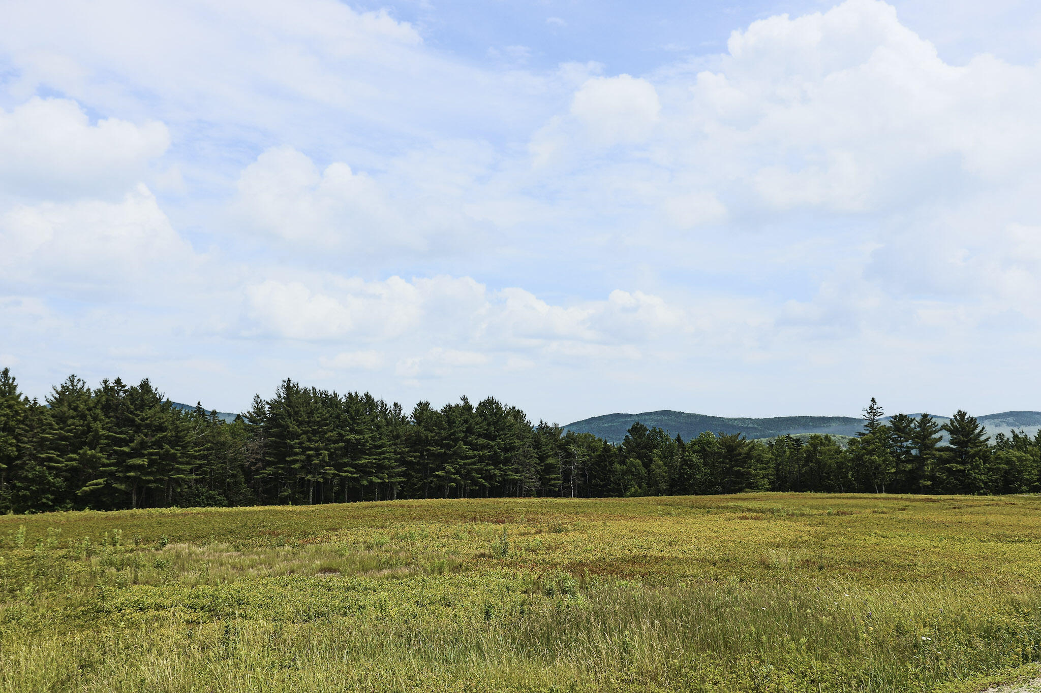 Map13-lot1 Martins Ridge Road Franklin, ME 04634 - Photo 3 of 10 Lot 1