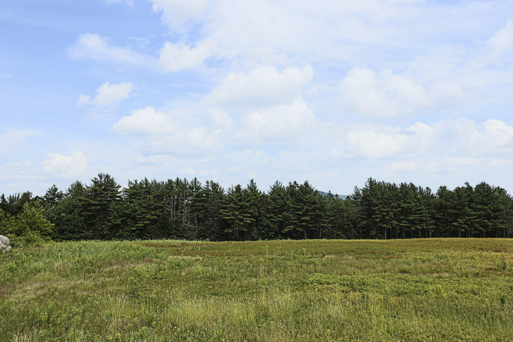 Map13-lot1 Martins Ridge Road Franklin, ME 04634 - Photo 5 of 10 Lot 1