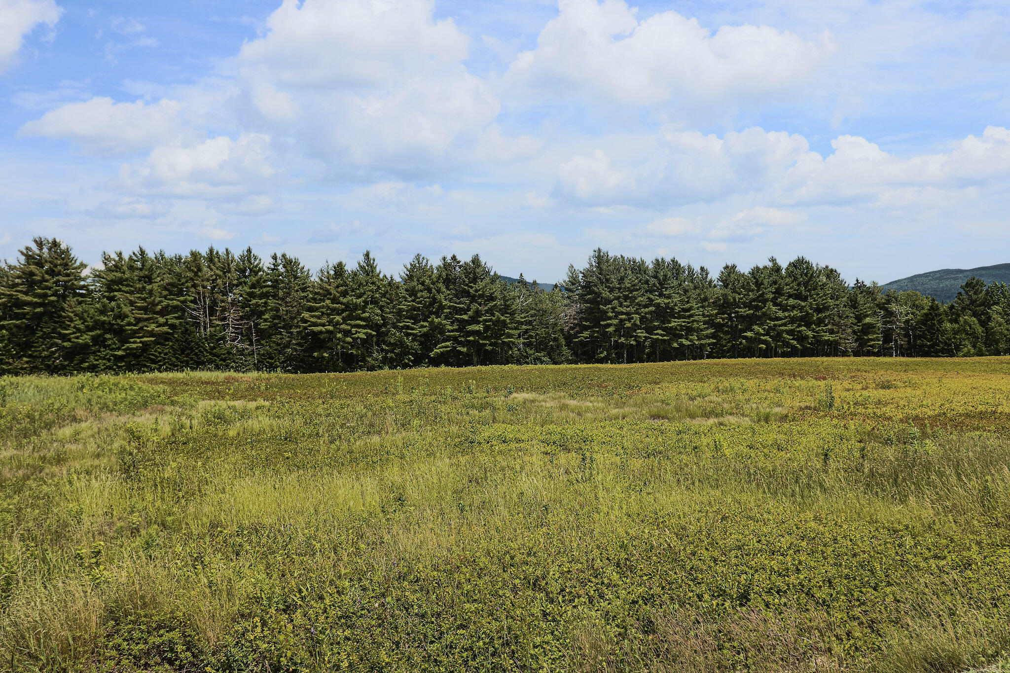 Map13-lot1 Martins Ridge Road Franklin, ME 04634 - Photo 6 of 10 Lot 1