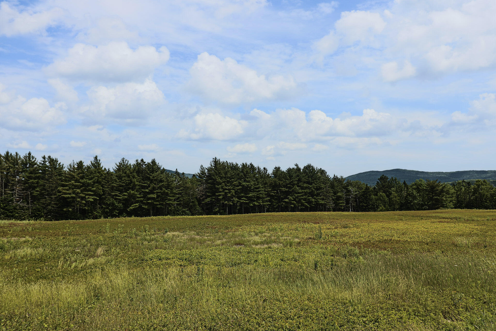 Map13-lot1 Martins Ridge Road Franklin, ME 04634 - Photo 7 of 10 Lot 1