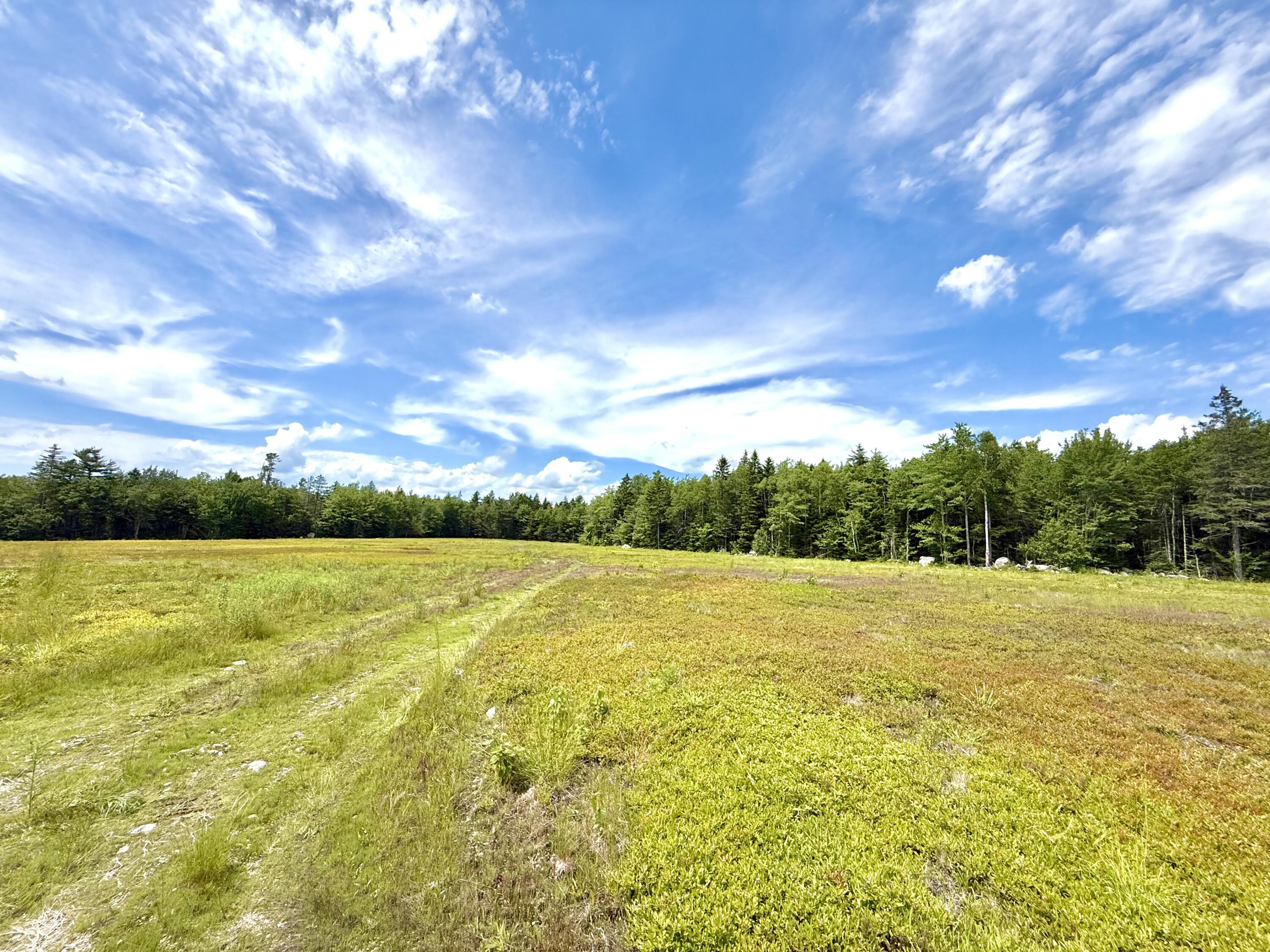 Map13-lot1 Martins Ridge Road Franklin, ME 04634 - Photo 9 of 10 Lot 1