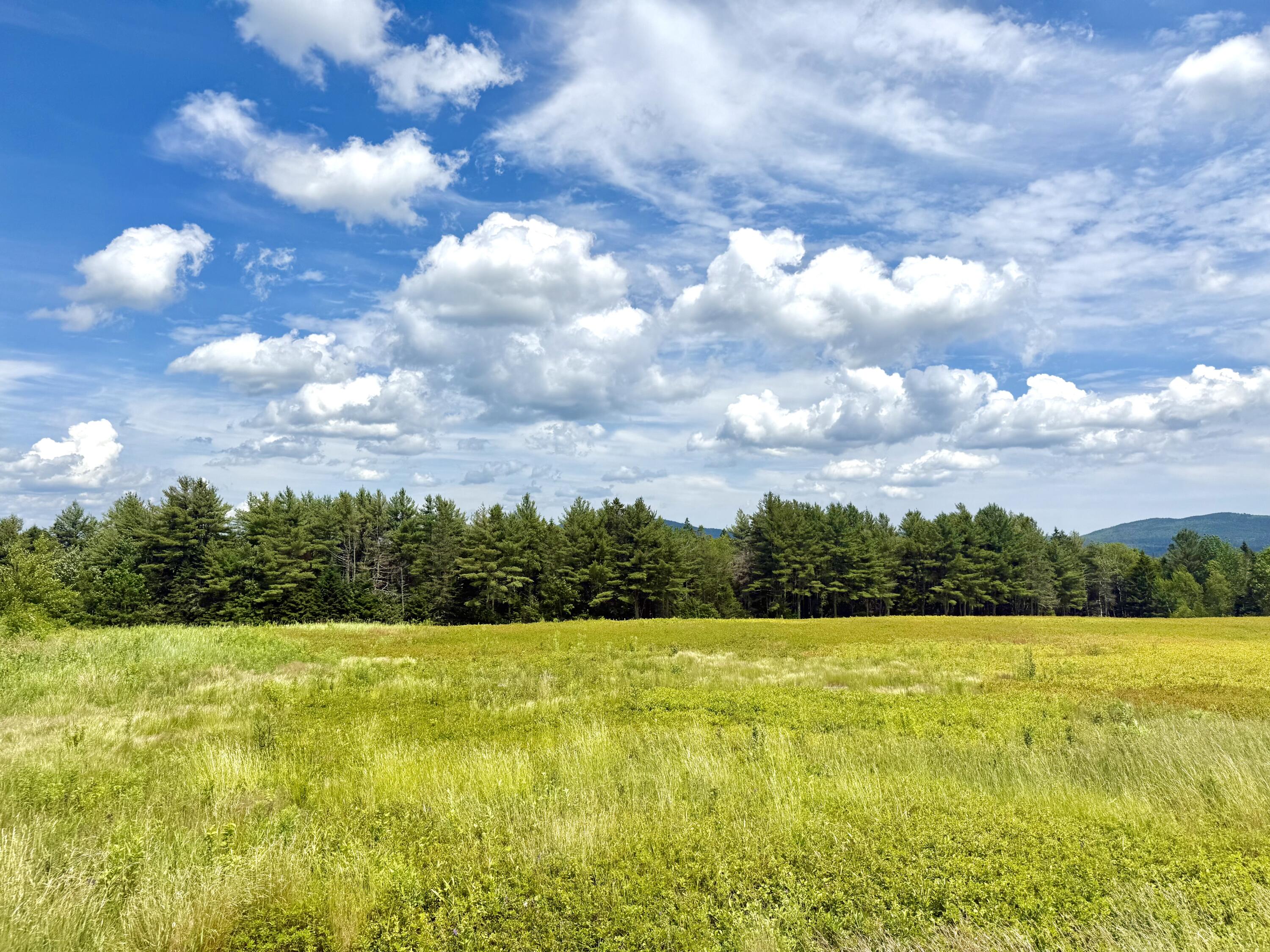 Map13-lot1 Martins Ridge Road Franklin, ME 04634 - Photo 10 of 10 Lot 1