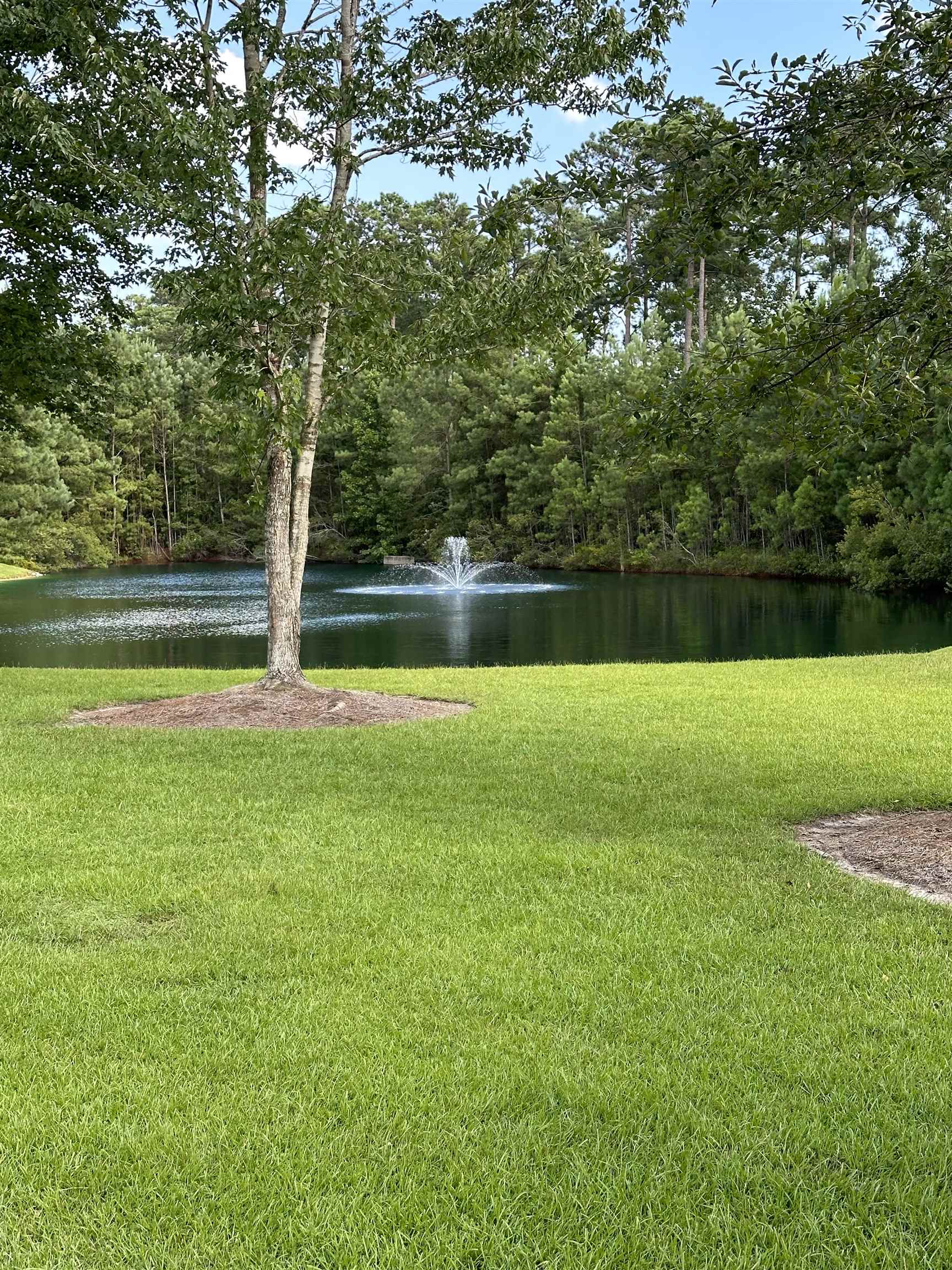 126 Low Country Loop Murrells Inlet, SC 29576 - Photo 39 of 39