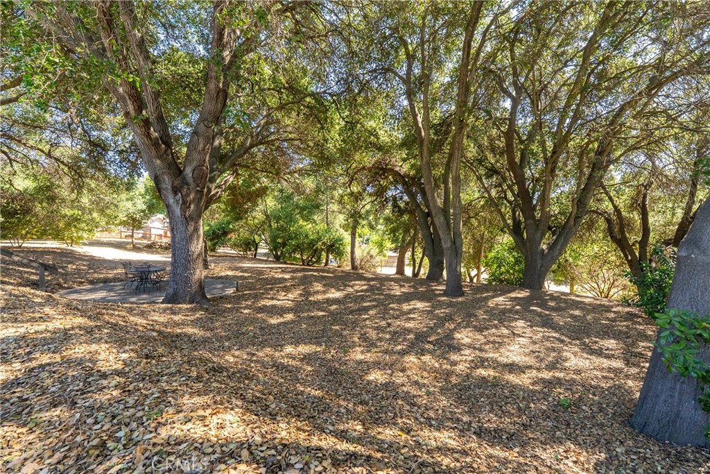 3388 Ramona Road Atascadero, CA 93422 - Photo 41 of 55 The backyard provides a unique opportunity for you to add your own personal touches.
