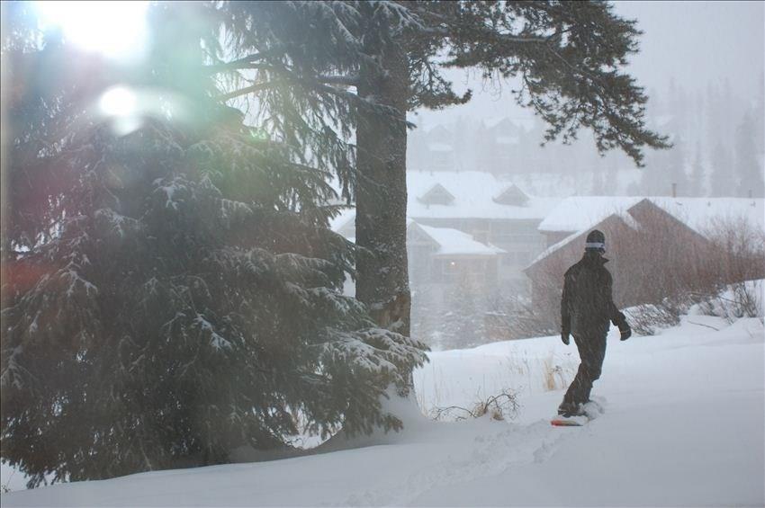 875 4 O Clock Road, Unit D1 Breckenridge, CO 80424 - Photo 14 of 25 a view of a yard