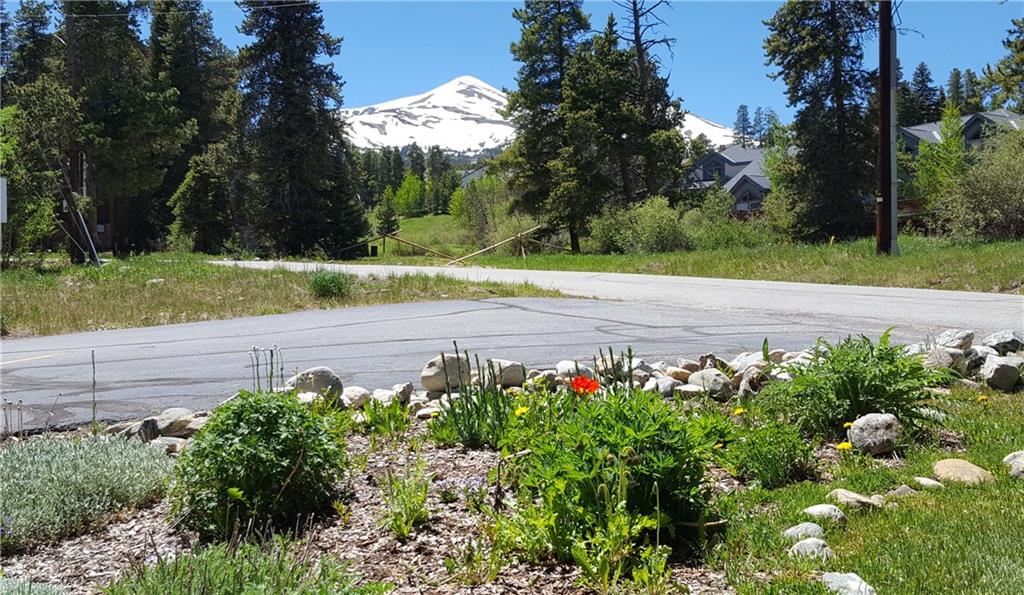875 4 O Clock Road, Unit D1 Breckenridge, CO 80424 - Photo 16 of 25 a view of a garden with flowers and trees