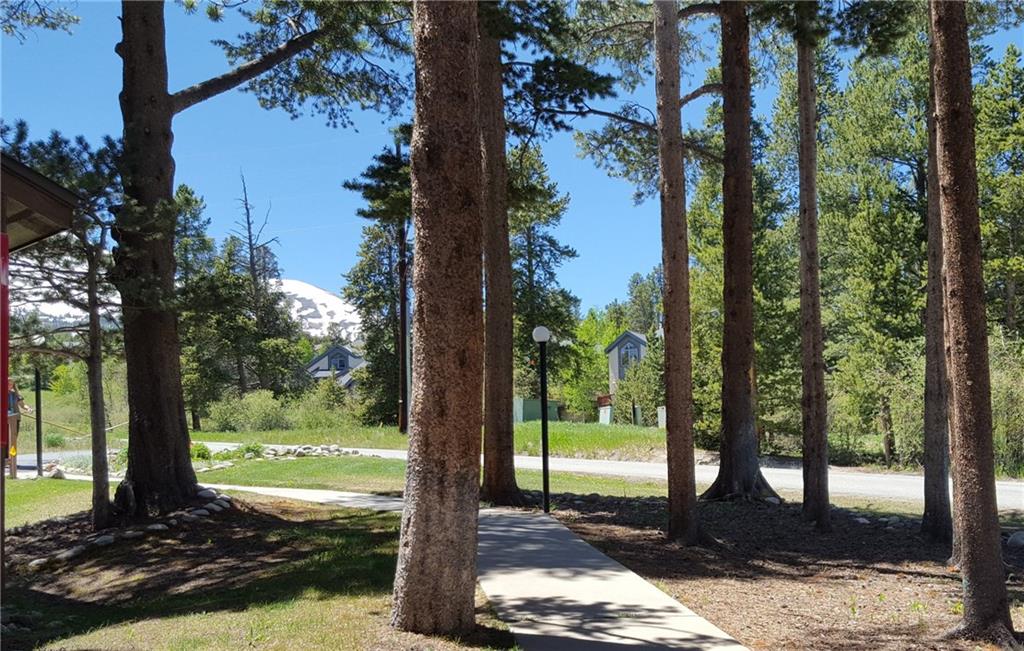 875 4 O Clock Road, Unit D1 Breckenridge, CO 80424 - Photo 20 of 25 a view of a tree in a yard