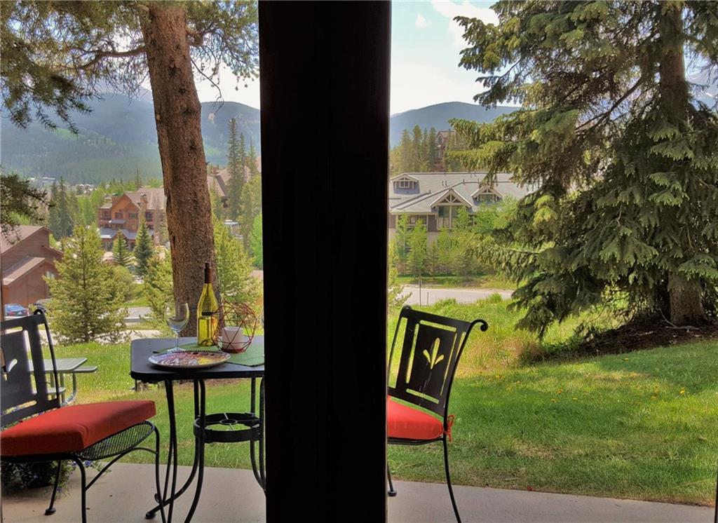 875 4 O Clock Road, Unit D1 Breckenridge, CO 80424 - Photo 4 of 25 a view of a chairs and table in backyard