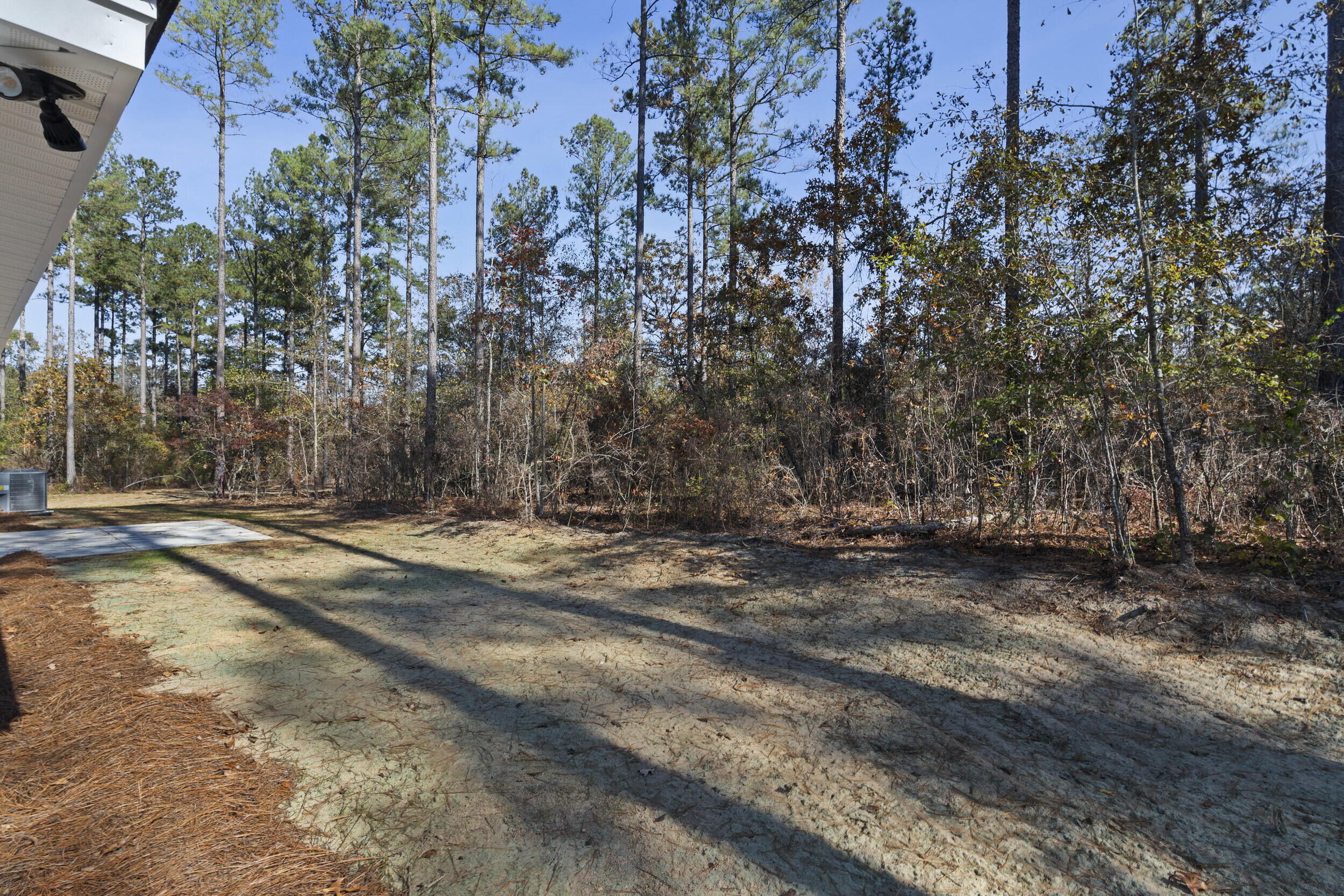 1119 Fox Young Road Wagener, SC 29164 - Photo 19 of 23