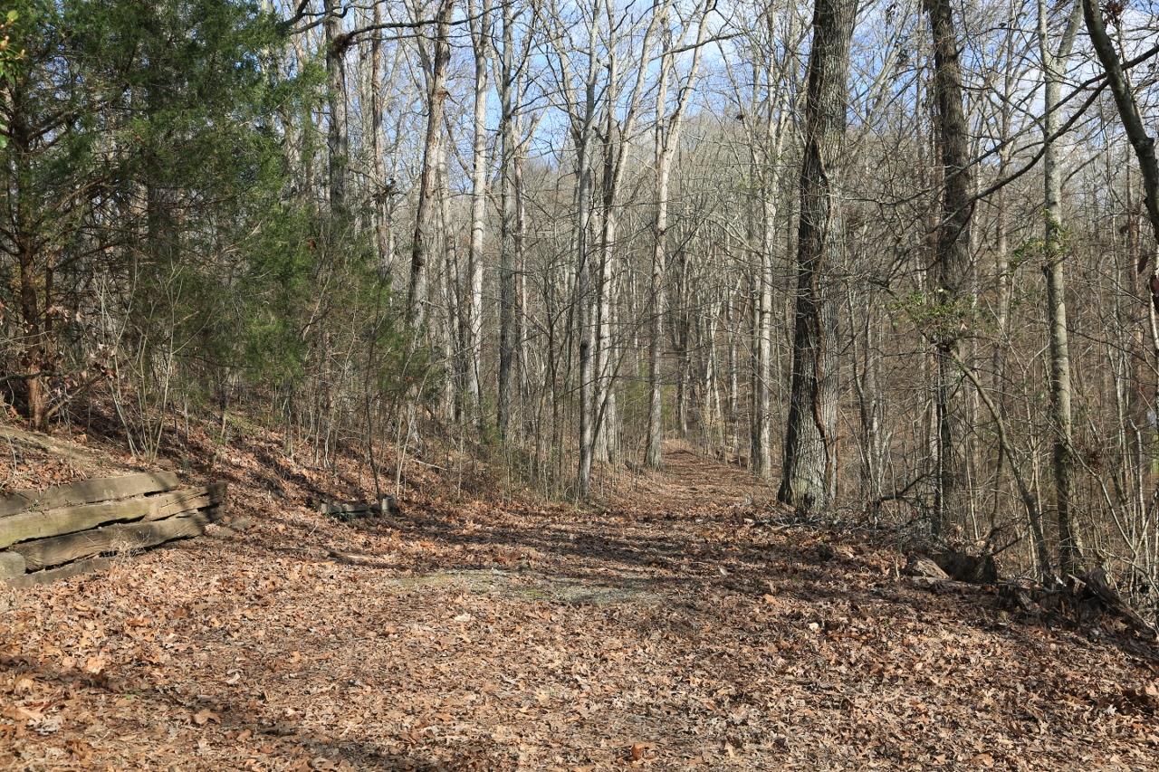3372 Patton Branch Road Goodlettsville, TN 37072 - Photo 30 of 30 Gallery Image 30