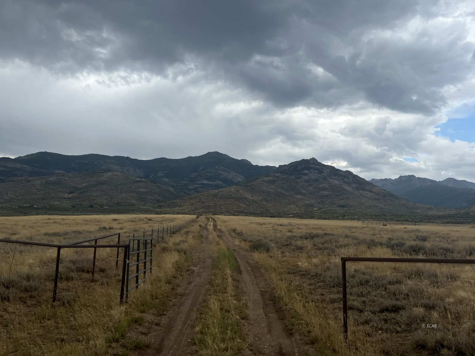 Smith Creek Ranch Spring Creek, NV 89815 - Photo 5 of 9