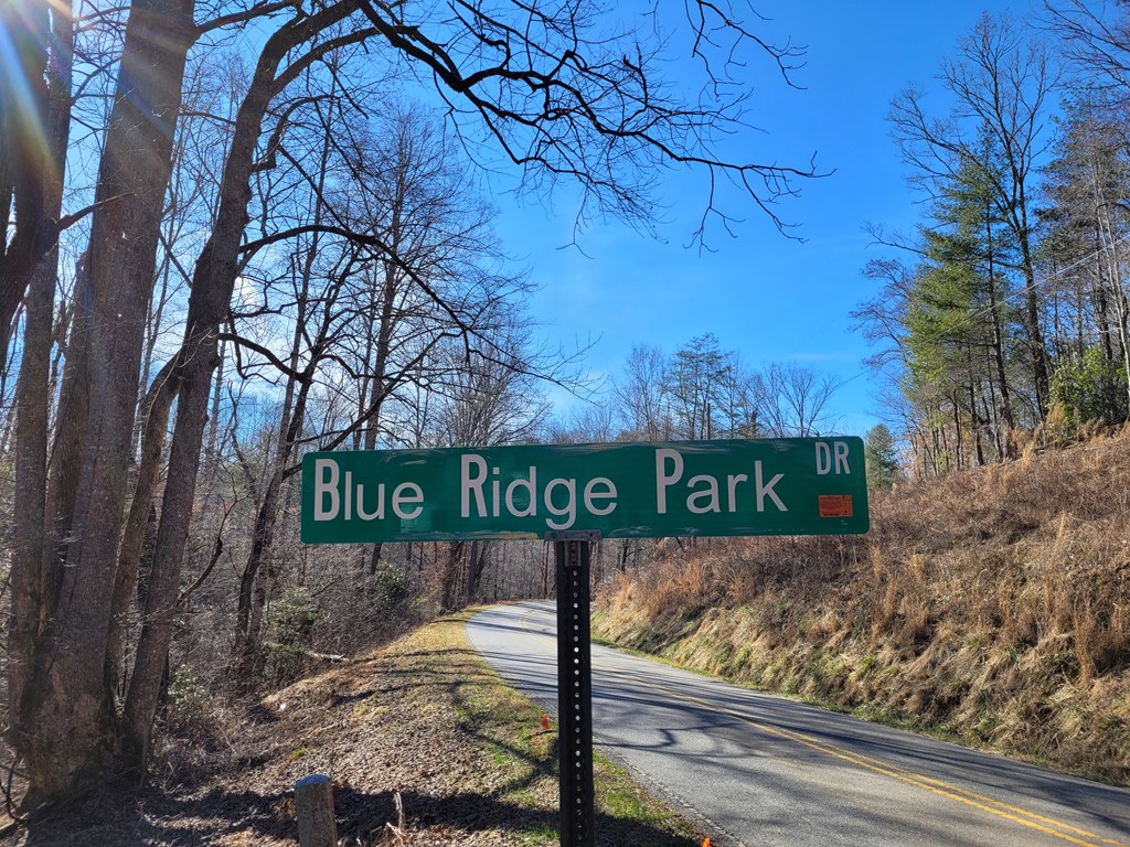 Lot 2 Blue Ridge Park Road Hayesville, NC 28904 - Photo 3 of 13