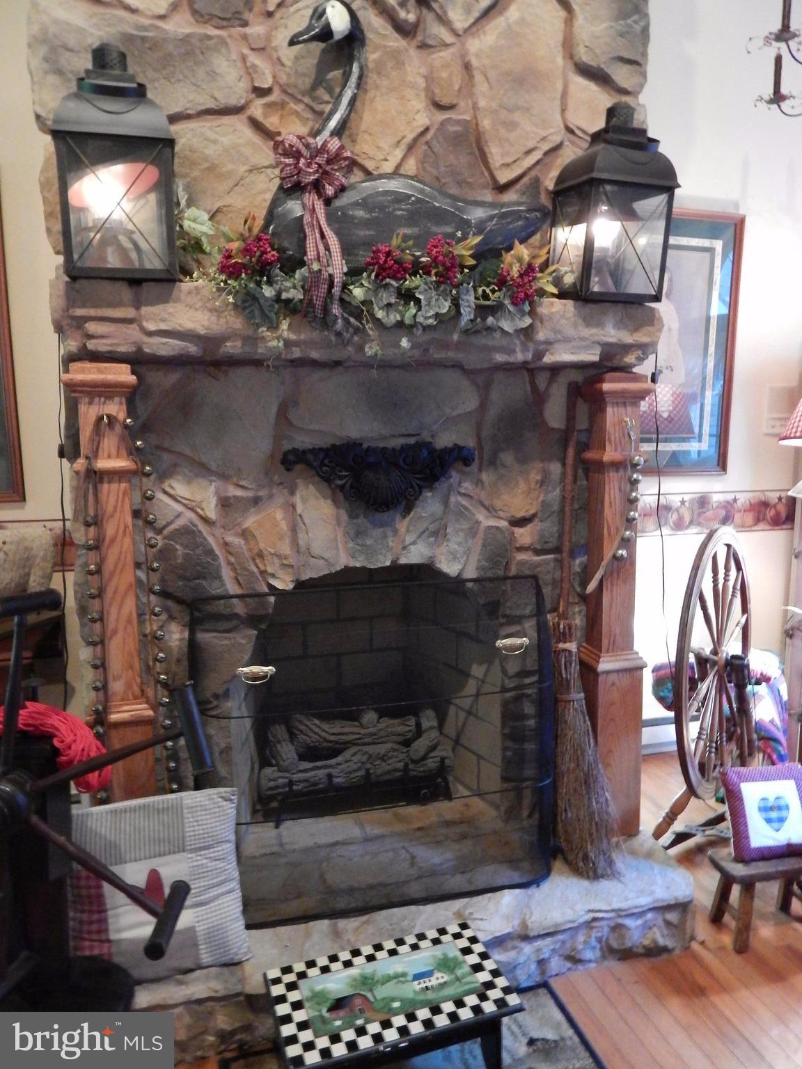 1090 Co Rte 9/8 Berkeley Springs, WV 25411 - Photo 24 of 30 Gas Fireplace