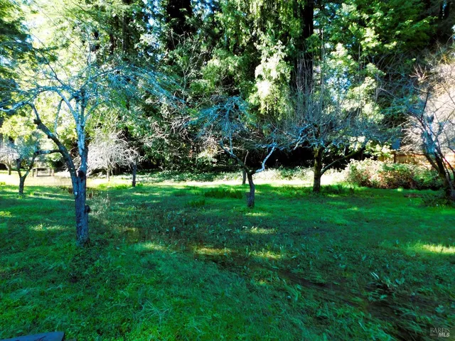 a backyard of a house with lots of green space and chair