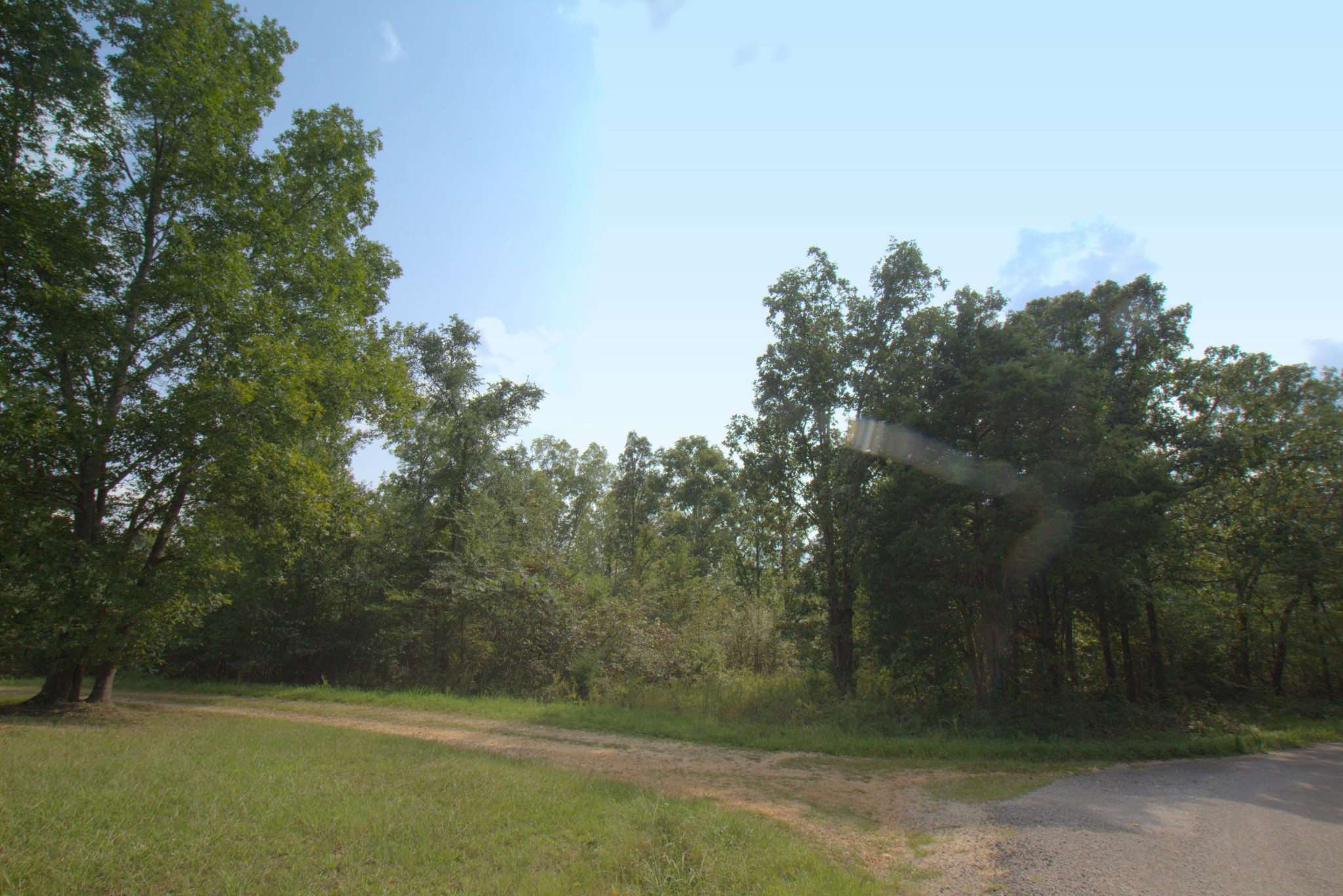 0 Scott Branch Road Duck River, TN 38454 - Photo 3 of 19 Gallery Image 3