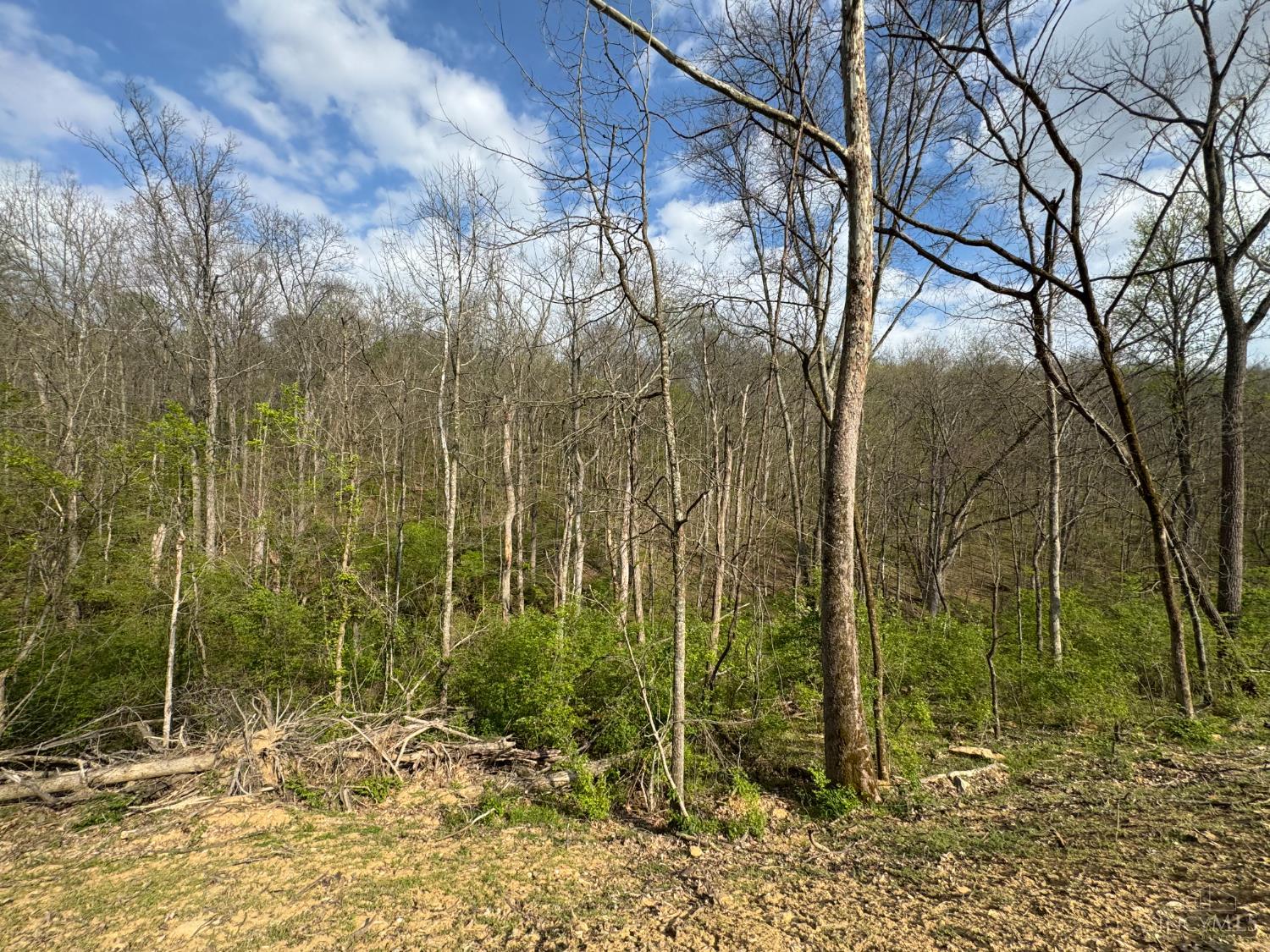 10883 Sand Run Road Harrison, OH 45030 - Photo 11 of 12