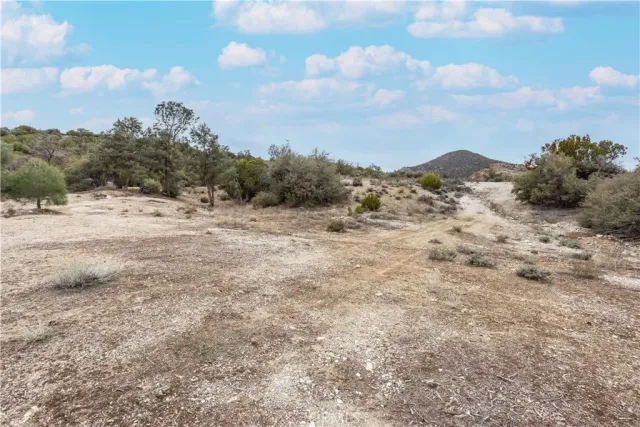 a view of a dry yard with mountains and bushes