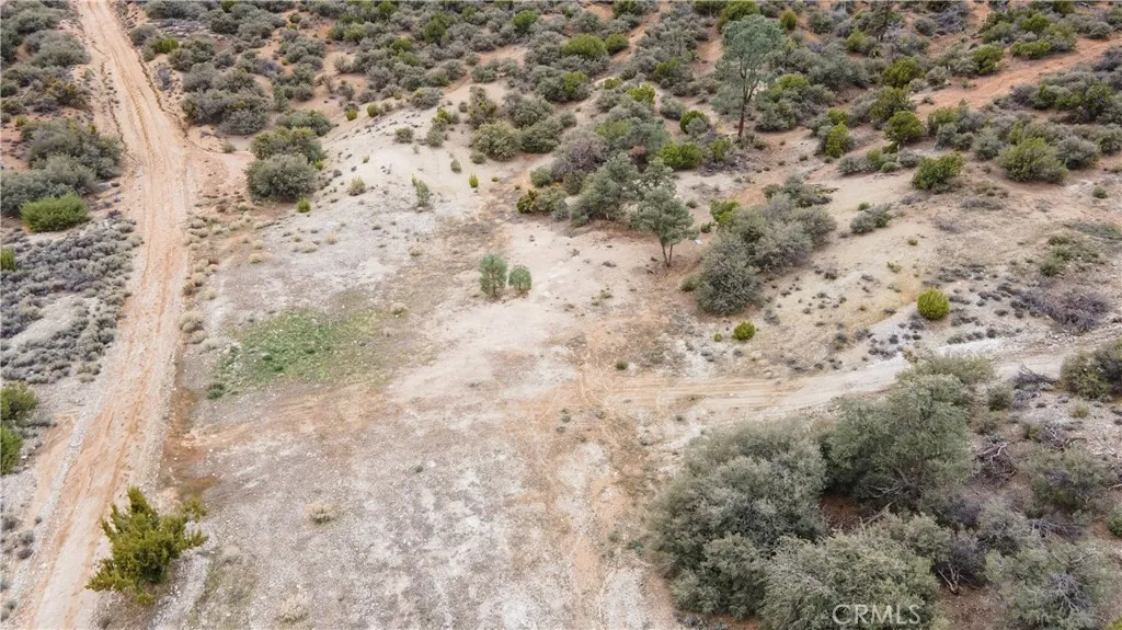 0 Umfalozi Road Tehachapi, CA 93561 - Photo 8 of 12 a view of a yard